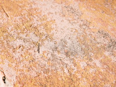 Beton üzerine bej-pembe arka plan. Betonda pembe boya