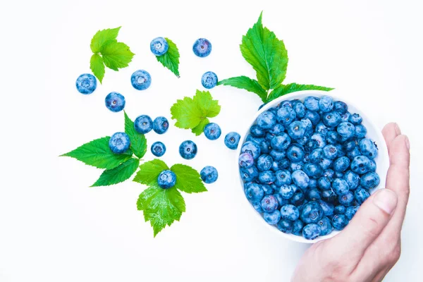 Blueberry. view from above. place for an inscription. healthy berries. — Stock Photo, Image