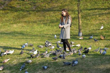 girl feeds birds in sunny weather. Beautiful young woman feeding birds in the park at sunny fall day  clipart