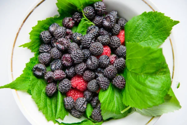Fructe de pădure pe frunze verzi. zmeură neagră cu roșu. fructe de pădure. vitamine din fructe de padure . — Fotografie, imagine de stoc