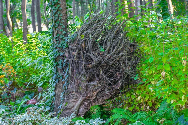 Głowa wykonana z korzeni drzew. Rzemiosła z drewna. rzemiosło. — Zdjęcie stockowe