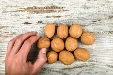 Ellerinde ceviz. Avucundaki cevizlere yakından bak. Cevizler 4 su, 15 protein, 65 yağ ve 7 diyet lif dahil 14 karbonhidrattır. Referans olarak 100 gram..