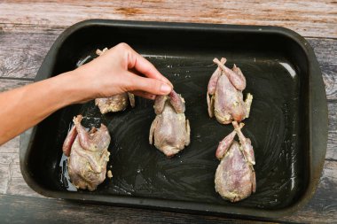 Bıldırcın ellerde. Bıldırcın insan elinde. Bıldırcın pişiriyorum. Alnında, fırının önünde yatıyor.