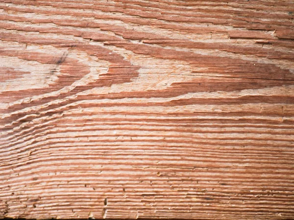 Saw cut wood background closeup. Background of wood. Background texture. — Stock Photo, Image