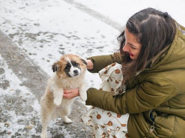 Sokakta yavru köpeği okşayan bir kız. Kış ve evcil. Genç kız, yavru köpek çoban köpeğine sarıl..