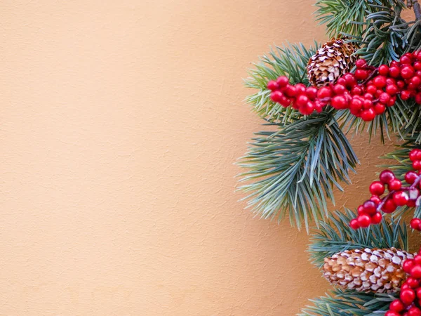 Árvore de Rowan com cones de abeto em um fundo bege. Lugar para texto. flat lay. Decoração de Ano Novo — Fotografia de Stock