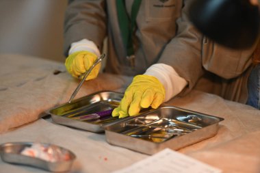 Genç cerrahlar. Bir grup çocuk cerrahi okuyor. Tıp öğretiyorum. Hastanedeki bir seminerde genç doktorlar. Çocuklar ve ilaçlar 
