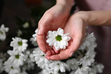 Kadın ellerinde beyaz çiçek. Sağlıklı deri konsepti. Doğal kozmetik. Beyaz çiçek ve dişi bayanlar. Sağlık ve güzellik. El bakımı, kırışıklık önleyici, yaşlanma önleyici krem, spa.