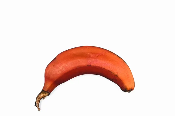 Brown banana on a white background. Red bananas are shorter, The variety of banana. — Stock Photo, Image