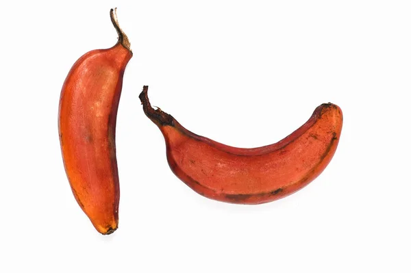 Brązowy banan na białym tle. Czerwone banany są krótsze, Różnorodność bananów. — Zdjęcie stockowe