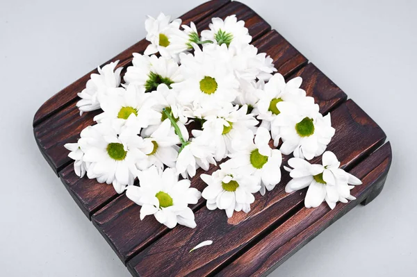 Chamomile colors on a wooden background. Springtime. Natural cosmetic. The concept of natural medicine. flat lay. — Stock Photo, Image