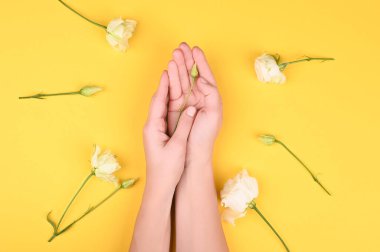 Sarı arka planda eller ve çiçekler. Temiz ve yumuşak deriyi koru. Günlük kozmetik ürünleri. Metin veya logo için boş alanı kapat