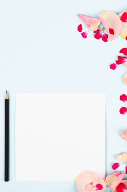 Kağıt kart notlu çiçekler beyaz arka planda izole edilmiş. Yaratıcı yerleşim