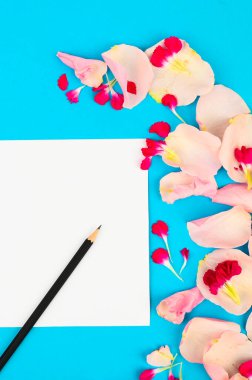 Mavi pastel arka planda fotokopi alanı olan şenlikli çiçek kompozisyonu. Düğün konsepti.