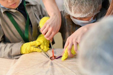 Doktor pratikte genç uzmanlara öğretiyor. Tıp öğretiyorum. Hastanedeki bir seminerde genç doktorlar. Çocuk ve tıp KHARKIV, UKRAINE - 20 HAZİRAN, 2020.