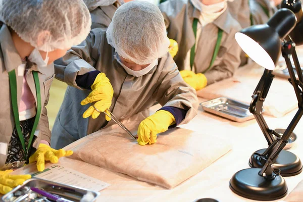 Los Niños Estudian Cirugía Enseñando Medicina Doctores Jóvenes Seminario Hospital — Foto de Stock