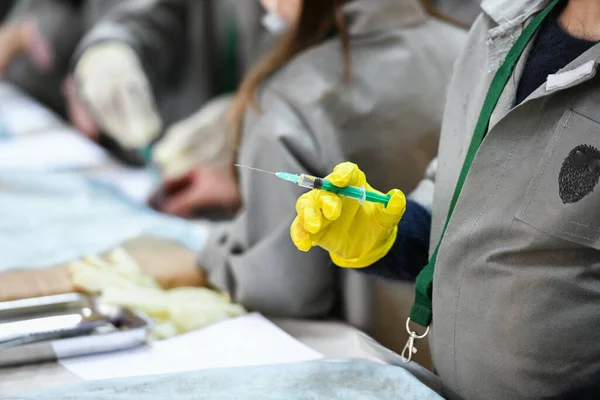 Aprender Hacer Inyecciones Entrenamiento Inyección Enseñando Medicina Operación Rescate Niños — Foto de Stock