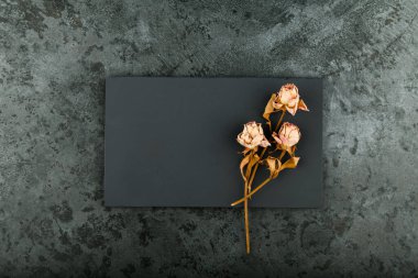 Bir buket gül yakın plan. Bir buket güzel düğün çiçeği, pembe güller