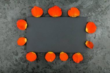 Siyah arka planda turuncu yapraklar. Yazıt için bir yer. Mermer üzerinde çiçek yaprakları