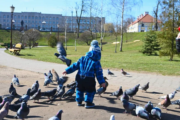 Dziecko bawi się na ulicy z gołębiami. dziecko i gołębie. — Zdjęcie stockowe