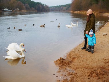 İnsan ve doğa kavramı. Anne ve bebek kuğulara bakın..