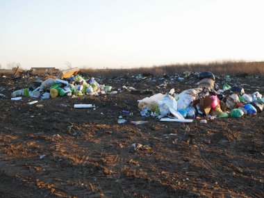 Çöp yığınını yakmak. Çöp yakmak. Çevre için endişe. Çevre kirliliği