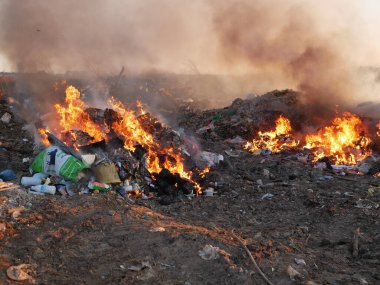 Çöpten dumanlar yükseliyor. Çöp yakmak. Çevre için endişe. Çevre kirliliği