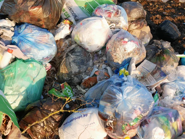 自然界に散在するゴミです 自然を汚染するゴミの山 モスクワ ロシア 2020年5月10日 — ストック写真