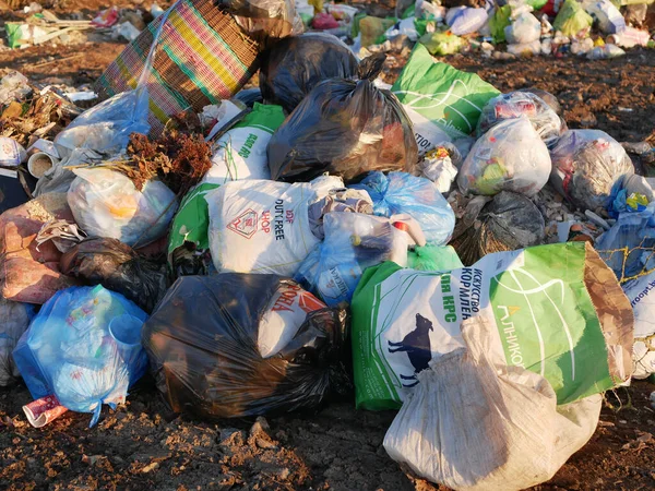 自然界に散在するゴミです 自然を汚染するゴミの山 モスクワ ロシア 2020年5月10日 — ストック写真
