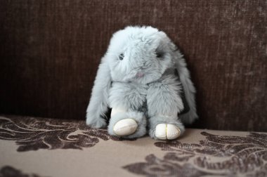 Fluffy toy gray hare. Sitting on the couch. clipart