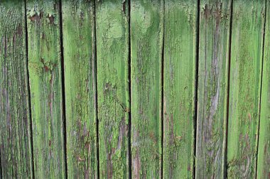 Yosun kaplı tahtaların ahşap arka planı. Eski tahtalar. düz yat.