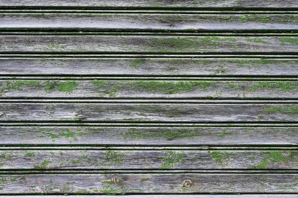 Wooden Planks Bloomed Old Boards Flat Lay — Stock Photo, Image