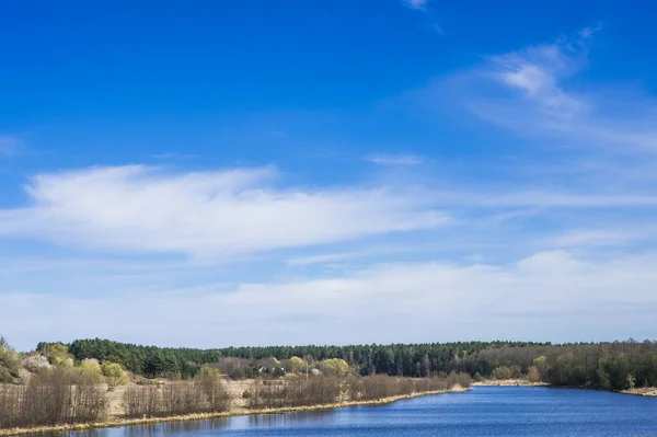Modrá Řeka Stromy Proti Modré Obloze — Stock fotografie