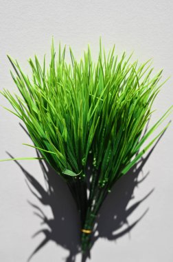 Yeşil çimenlerin gölgesi. Çimlerden düşen uzun bir gölgenin en üst görüntüsü.