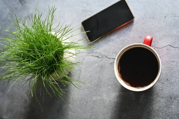 coffee mug, phone and plants.