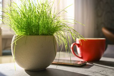 Sabah kahve konsepti. Kahve makinesi ve telefonu olan bir masa.