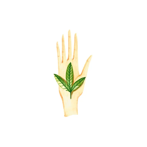 Brazo de acuarela y rama con hojas verdes. ilustración dibujada a mano —  Fotos de Stock