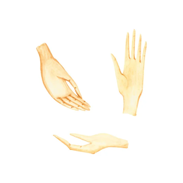 Set of watercolor hands. Hand drawn illustration — Stock Photo, Image
