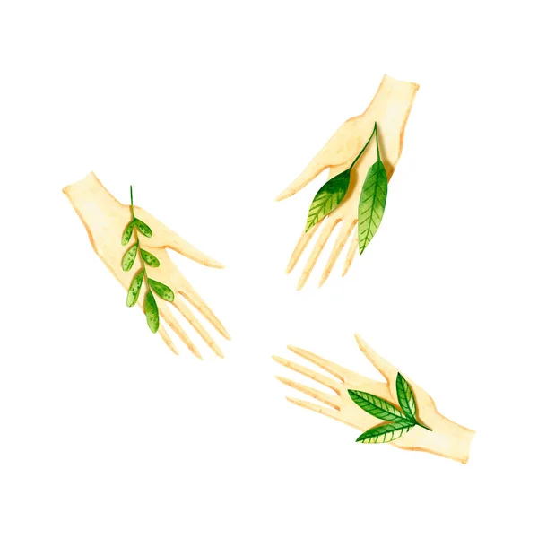 Mains aquarelle aux plantes vertes. Illustration dessinée à la main isolée sur blanc. Icône des armes — Photo