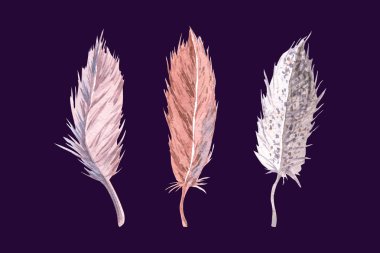 Suluboya tüyleri. El çizimi ışık çizimi koyu arkaplanda izole