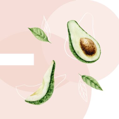 Suluboya avokadolar ve yeşil yapraklar. El boyası avokado seti kart yapımı ve etiketleme için mükemmel. Görüntü