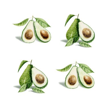 Suluboya avokadolar ve gölgeli yeşil yapraklar. El boyası avokado seti kart yapımı ve etiketleme için mükemmel. Görüntü