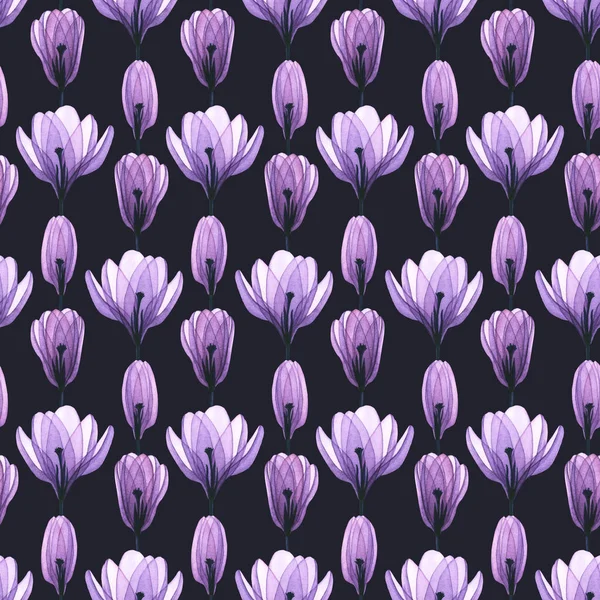 Seamless Pattern Watercolor Transparent Crocus Flowers Hand Drawn Illustration Isolated — 스톡 사진