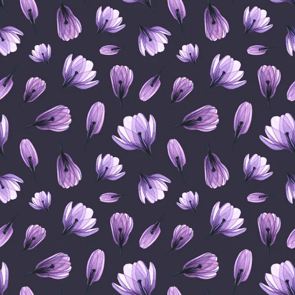 Seamless Pattern Watercolor Transparent Crocus Flowers Hand Drawn Illustration Isolated — 스톡 사진