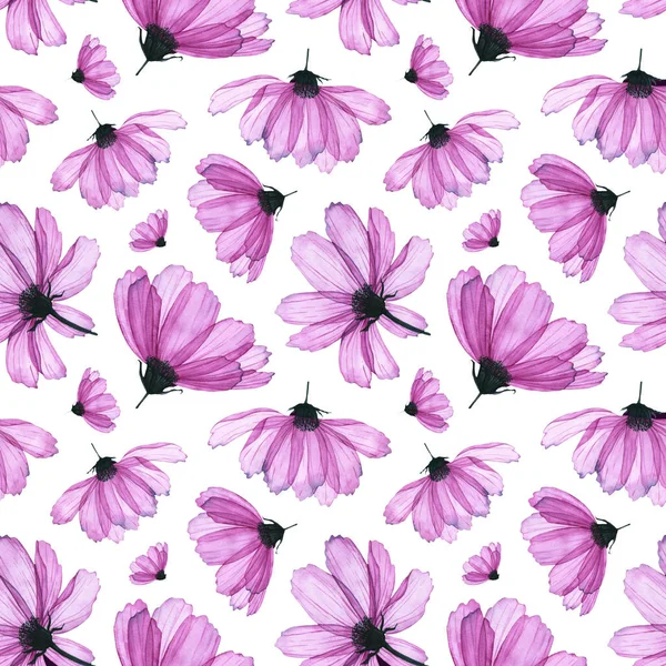 Sömlöst Mönster Med Akvarell Transparent Kosmos Blomma Handritad Illustration Isolerad — Stockfoto