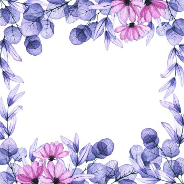 Şeffaf okaliptüs yapraklı kare çerçeve, kozmos çiçekleri. El çizimi illüstrasyon