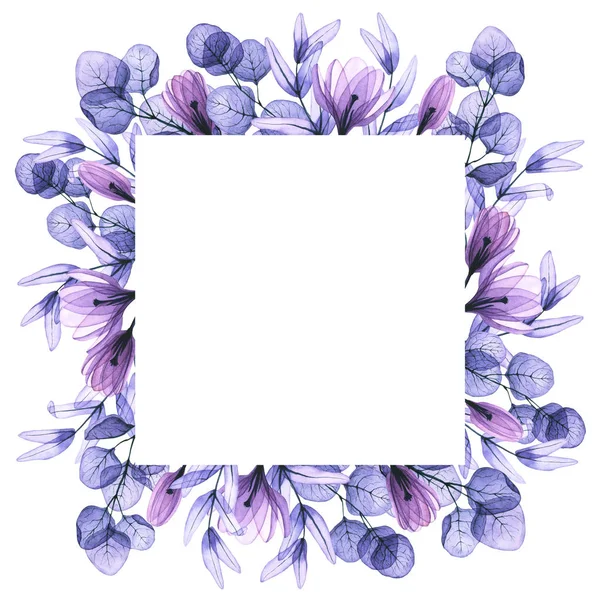 Quadratischer Rahmen mit Aquarell transparenten Eukalyptusblättern, Blumen. Handgezeichnete Illustration — Stockfoto