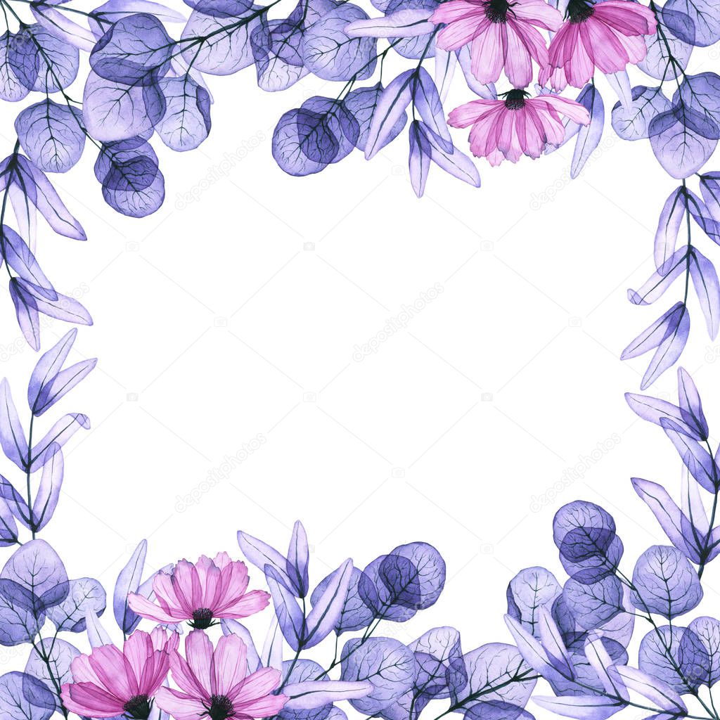 Square frame with watercolor transparent eucalyptus leaves and cosmos flowers. Hand drawn illustration isolated on white. Floral composition is perfect for greeting card, wedding invitation, florist logo