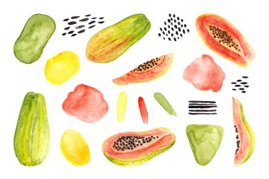 Suluboya papaya seti, soyut lekeler, fırça darbeleri. Beyaz üzerine izole edilmiş parlak bir illüstrasyon. Elle boyanmış meyveler moda tasarım, poster, kumaş tekstil, kartpostal, duvar kağıdı için mükemmel.
