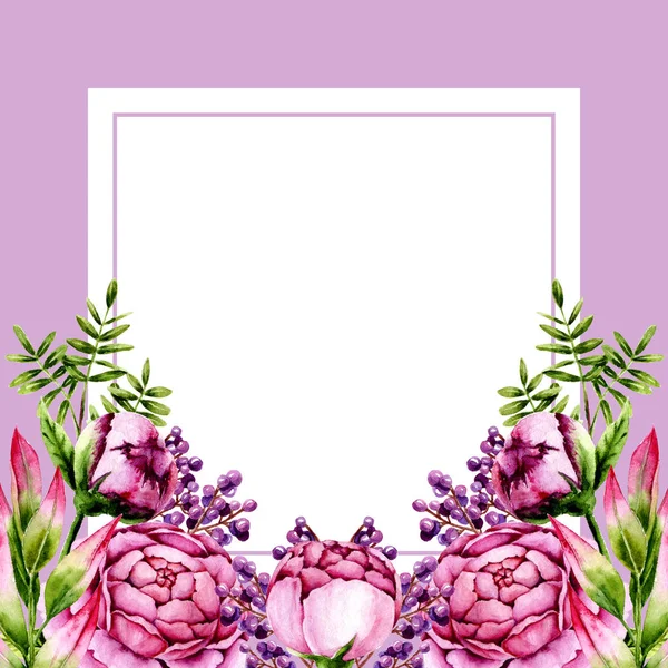 Карточка Акварелью Розовые Пионы Зеленые Веточки Фиолетовые Ягоды Шаблон Расписанными — стоковое фото